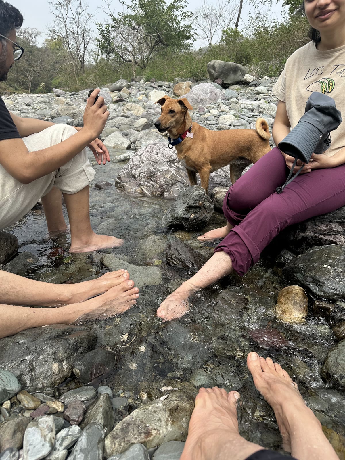 Satori standing among the rocks in the stream